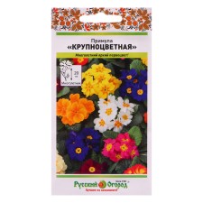 Flower seeds of primrose 