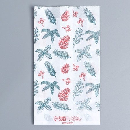 Pack Pack Pack, V-shaped bottom "New Year's Botanika", 20 x 11 x 4 cm, New Year-1