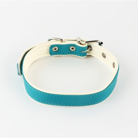 Set of collar (58x2.5 cm) and leash (130x1.4 cm) from eco -leather, turquoise with white-1