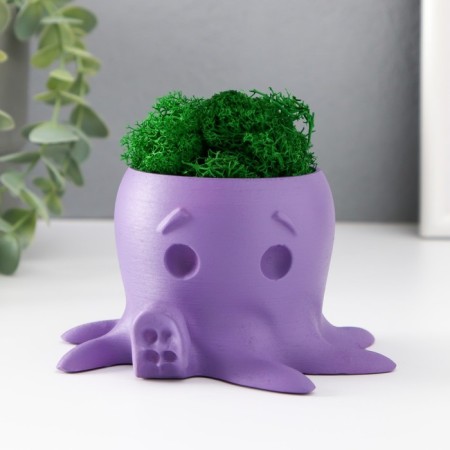 Concrete Kashpo "Osminog" height 7 cm, d- 6.5 cm. Violet with moss (moss green. Stabilizir)