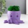 Concrete Kashpo "Osminog" height 7 cm, d- 6.5 cm. Violet with moss (moss green. Stabilizir)