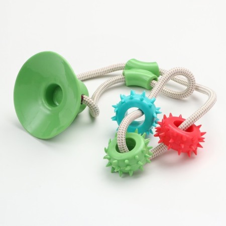 Dog toy "Rings with spikes on a suction cup", 40 cm, green/blue/red-1