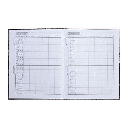 Universal diary for grades 1-11 Selena and Wolf, solid cover, matte lamination, 40 sheets-5