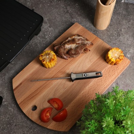 Thermomopic is the kitchen LTR-19, maximum temperature 300 ° C, from LR44, silver-3