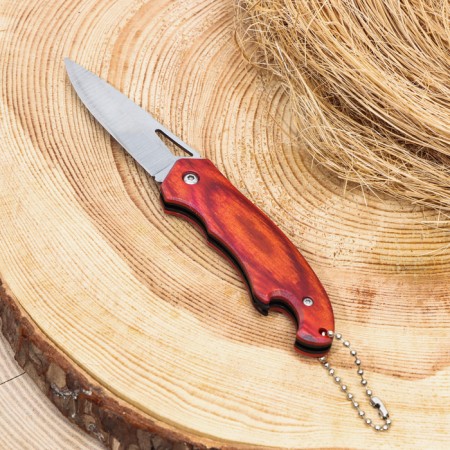 Folding knife with opening, 15.5 cm, blade 65mm/2mmm