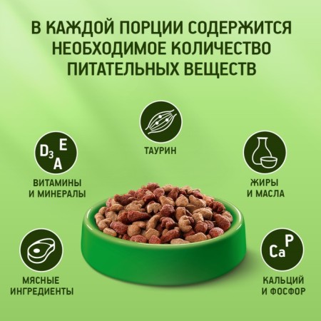 Dry food Kitekat "Appetizing veal" for cats, 350 g-3