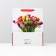 Laminated "Tulips" 26x32x12 package