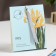 Sasha Aromatic Spring "Iris", iris, pepper, grenade and amber