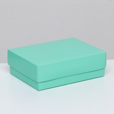 The box is folding, mint, 16.5 x 12.5 x 5.2 cm
