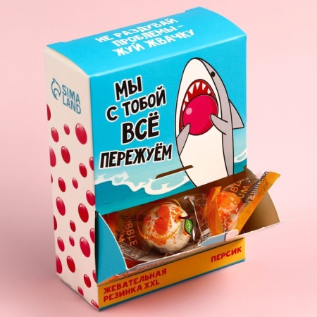 Chewing gum “We’re all overlook”, taste: Persian, 110 g.-3