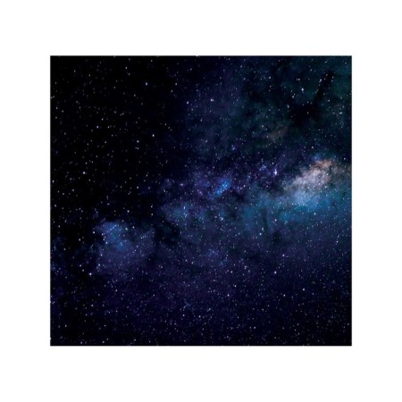 Organizer in a bath on suction cosmic world, for storing toys and trifles, size 33x39 cm-1