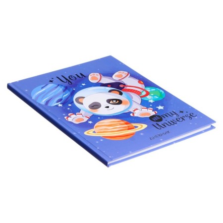 Diary for grades 1-4, "Space Panda", solid cover 7BC, matte lamination, foil embossing, 48 sheets-1