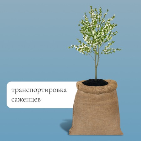 Jute bag, 40 × 60 cm, density 45 × 45 threads, without ties, Greengo-2