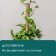Support for garter plants, h = 50 cm, d = 5 cm, coconut, Greengo