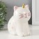 Pig a piggy bank Ceramics "Cat-Sable" 13x10x16 cm