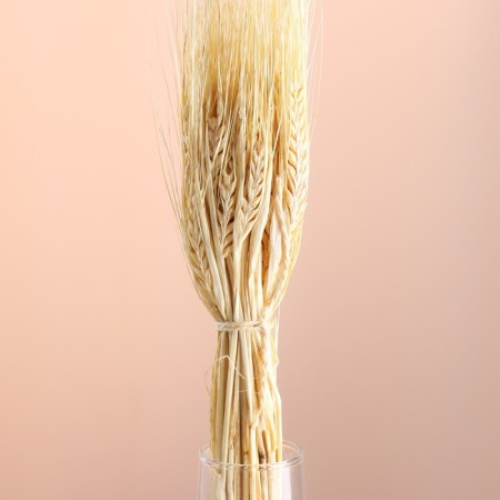 Set of dried flowers "rye", banch 35-40 pcs, 60 gr. length 60-65 (+/- 6 cm), bleached-1