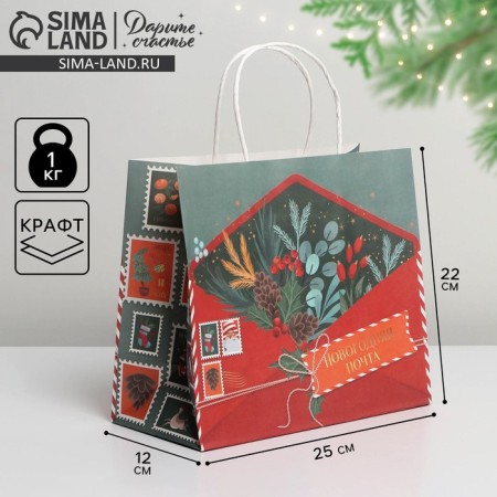 Package Gift Crafts "New Year's Post", 25 x 22 x 12 cm, New Year