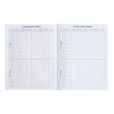 Universal diary for grades 1-11, "Anime Girl", soft cover, 40 sheets-8