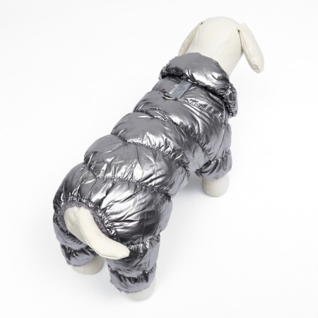 Kombinson "Shine", size S (DS 24 cm, OG 34, Osh 23 cm, up to 5 kg), silver-3