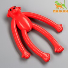 A toy for dogs 