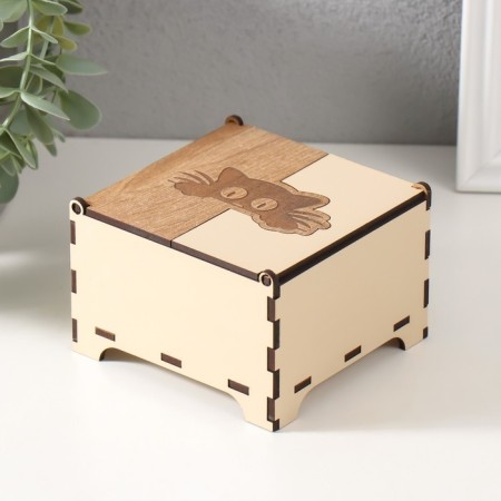 Combined box "kitten" 10.5x10x7 cm-1