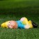 Garden figure "Red -drunk dwarf" 23cm