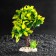 Artificial aquarium plant, 15.5 x 12 x 20.5 cm