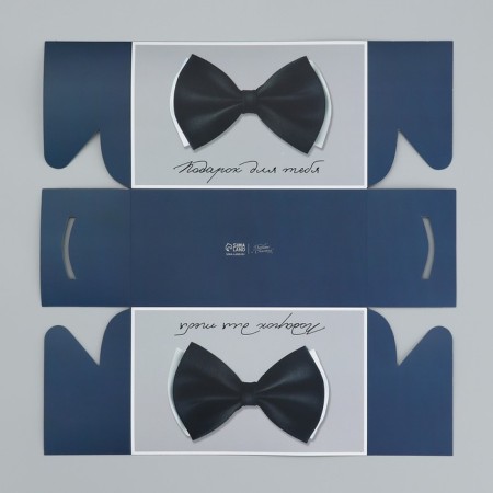 Capley box, confectionery packaging, 2 cells “Gift for you”, 16 x 8 x 10 cm-3