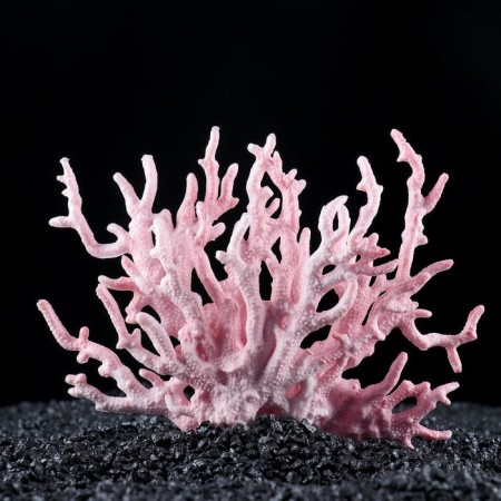 Plastic coal is small 17 x 6 x 13 cm, pink
