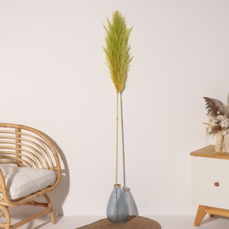 Sukhotzet "Cortery", 1 branch, length 140-150 cm, apple