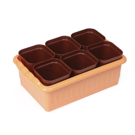 Set for seedlings: glasses of 250 ml (6 pcs.), Container 24 × 16 cm, mix-5