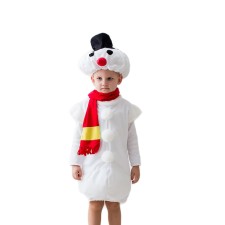 Carnival costume 