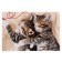 Puzzle "meow-koti", 160 elements