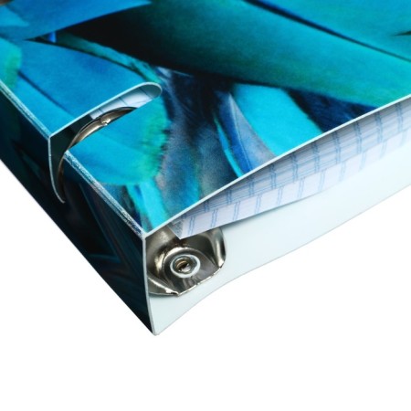 Notebook on rings A5 120 sheets in the Calligrata EXTOTIA cell, plastic cover, offset unit-4