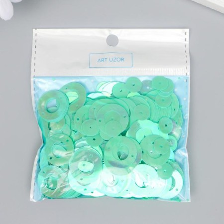 Sequins "circle in the ring" Mint set 30 g d = 2 cm-2