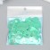 Sequins "circle in the ring" Mint set 30 g d = 2 cm
