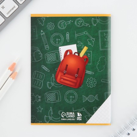 Gift set for graduation: notebook A6, 16 liters, diploma and stickers "Set of a graduate forward to knowledge!"-3