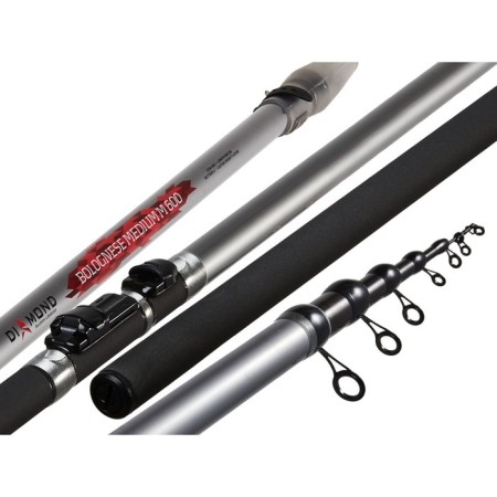 Salmo Diamond Bolognes Medium M, Test 5-20 g, length 6 m.-1