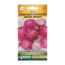 Flowers of Astra Flowers Chinese 