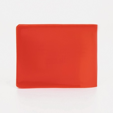 Cover for a student ticket, red color-1