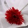 Artificial flowers "chrysanthemum lux" d-11 cm, 40 cm, red
