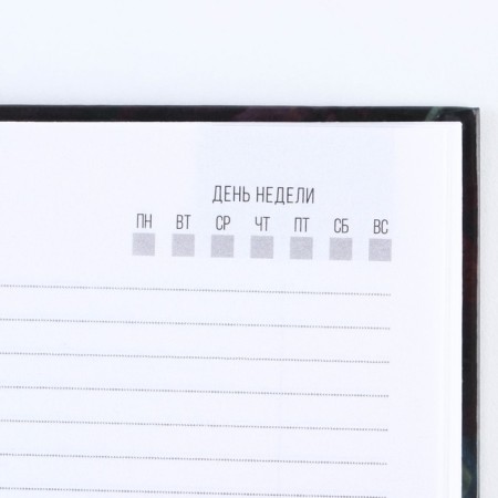 Diary "Spring in the Heart", A5, 160 sheets-3