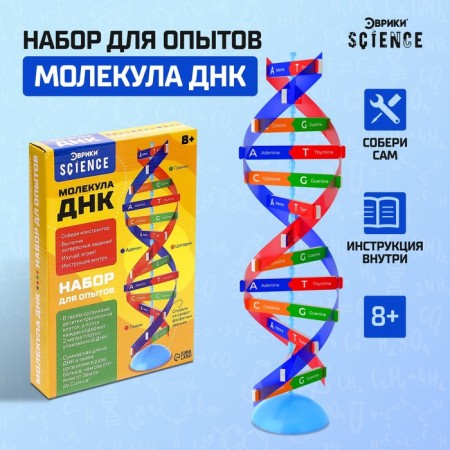 Set for experiments "Molecule DNA"