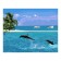Picture on numbers on cardboard 40 × 50 cm "Marine beauties"