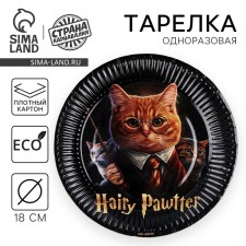 Disposable paper plate 