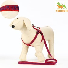 Acunition set is embossed, leash 120 x 1.5 cm, OG 36-49 cm, red-blue