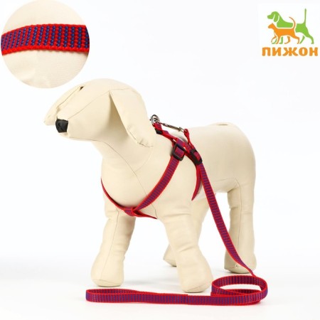 Acunition set is embossed, leash 120 x 1.5 cm, OG 36-49 cm, red-blue