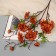 Artificial Flowers "Carnival" 66x7 cm, orange-brown