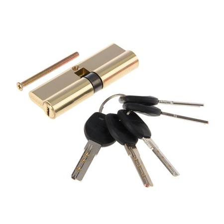 Allyur cylinder mechanism HD F 90-5K BP, with a perfors, brass color