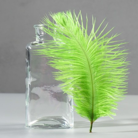 Feather of ostrich 15-20 cm, light green